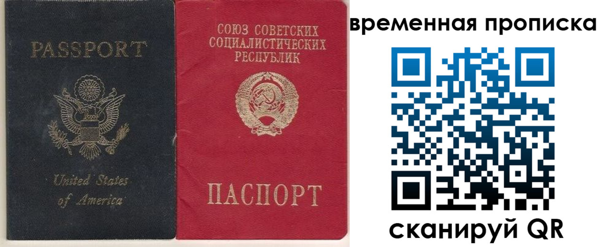 прописка для школы в Острове